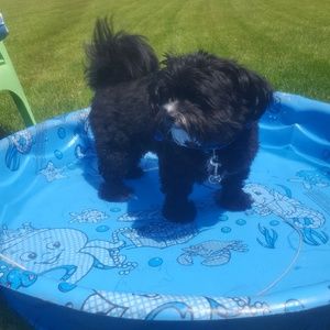 Meet your Posher, Megan